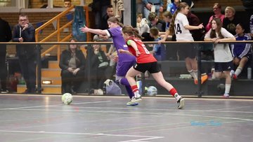 Bild 13 - Videos